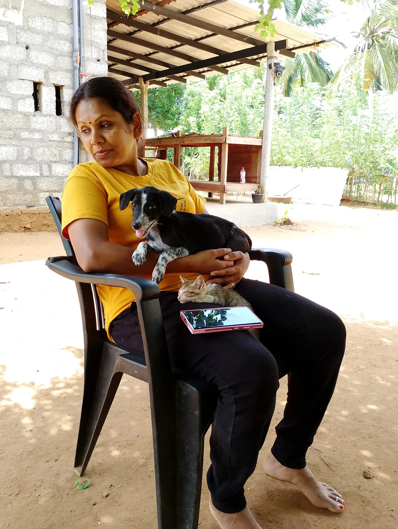 Rescued cat sleeping peacefully next to a puppy at Rasee Rescue