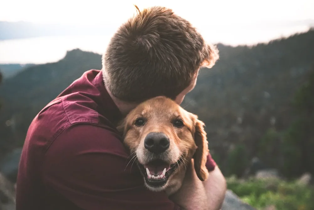 A hug that says everything