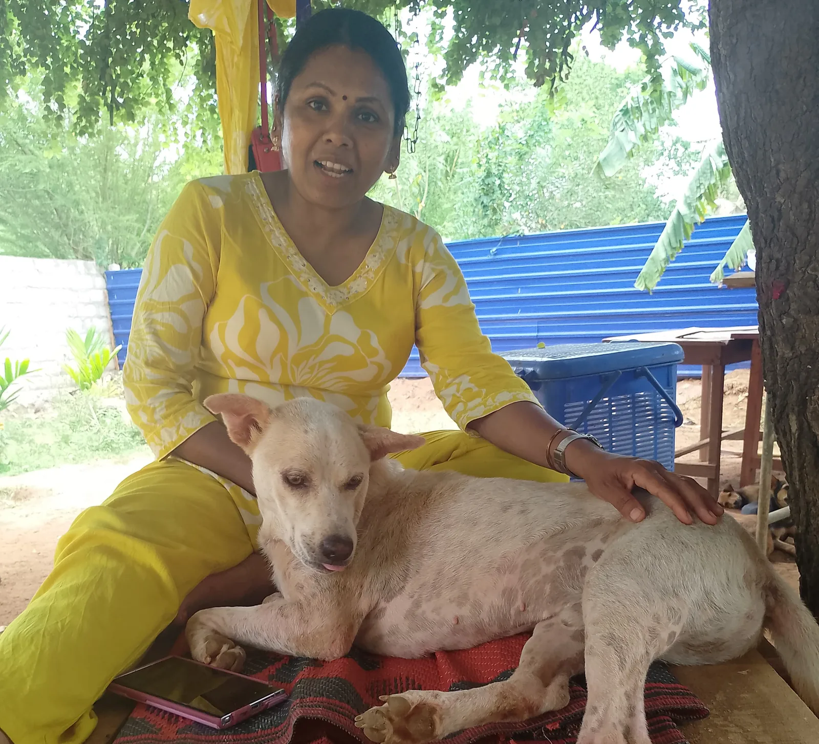 Rescued dog receiving gentle bath and care in tub from volunteer hand at Rasee Rescue